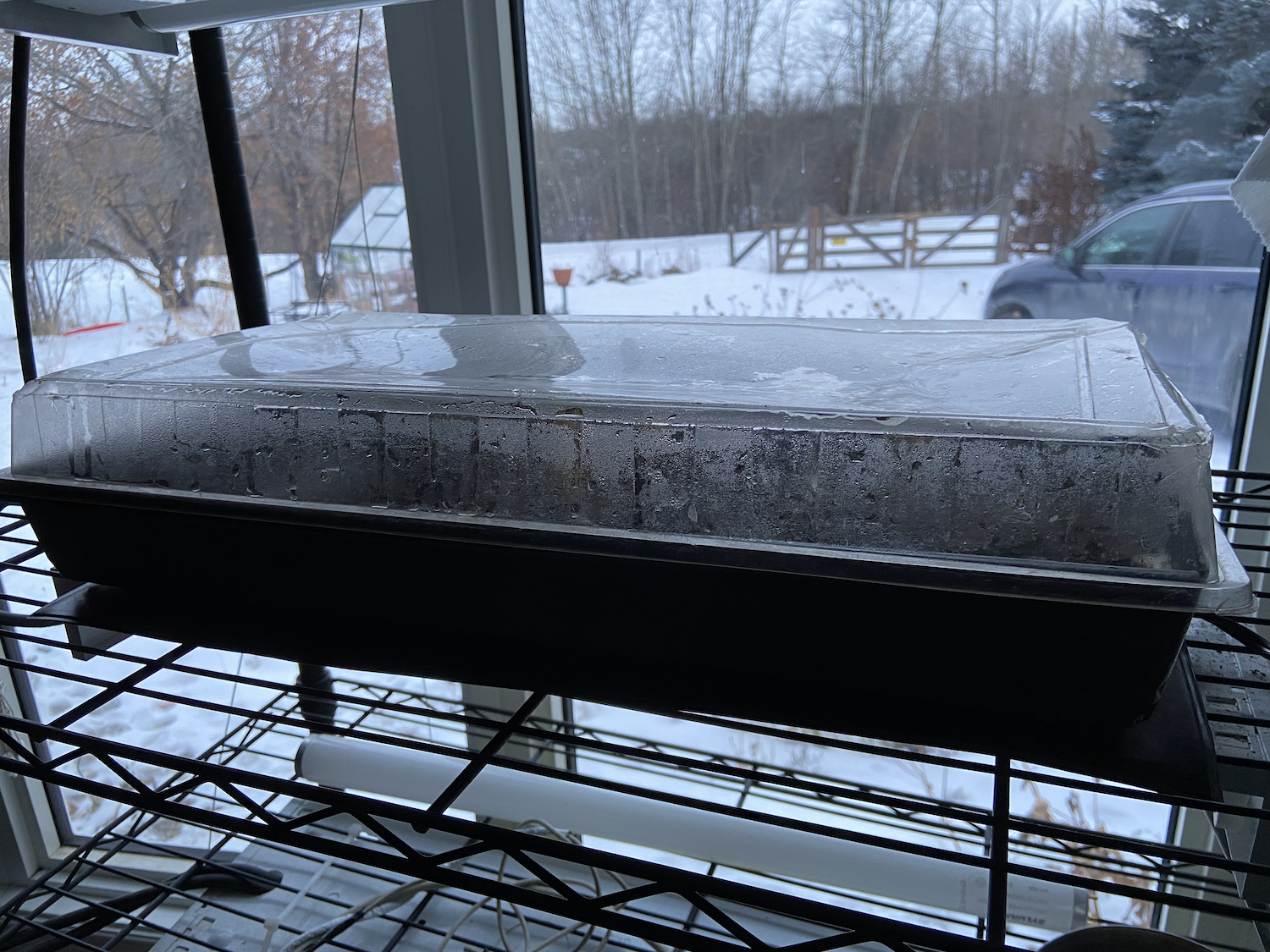 getting ready to plant - soil, egg cartons, seeds