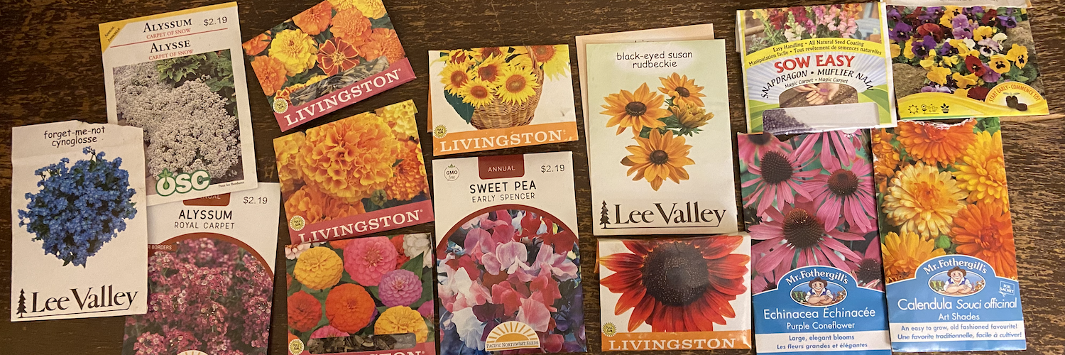 Packets of flower seeds